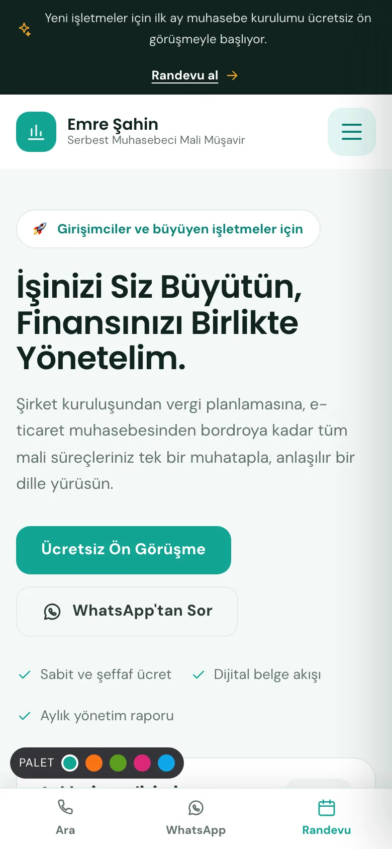 Mali Müşavir 5 · Girişim sitesinin mobil görünümü