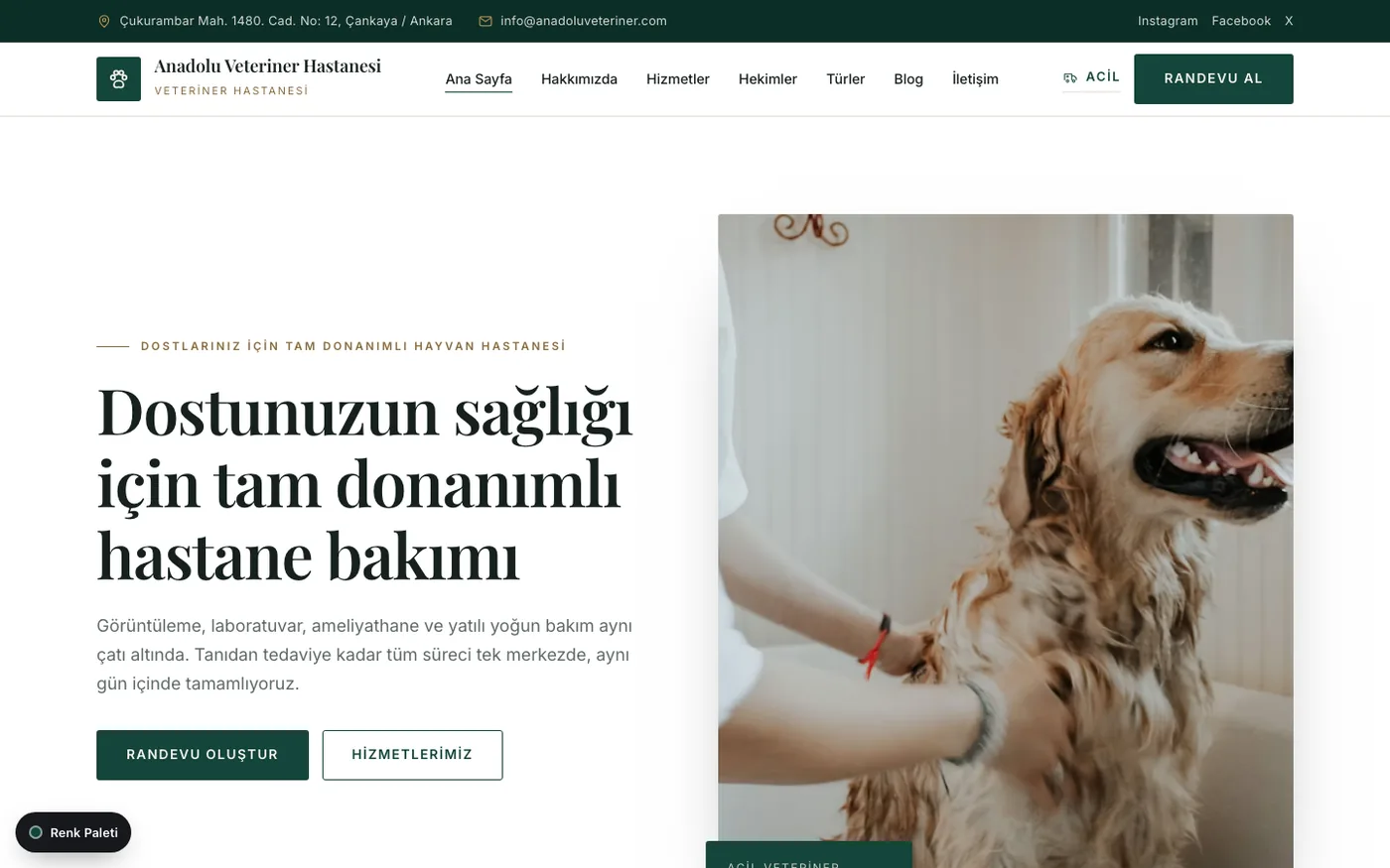 Veteriner 1 — Orman Yeşili · Krem · Altın