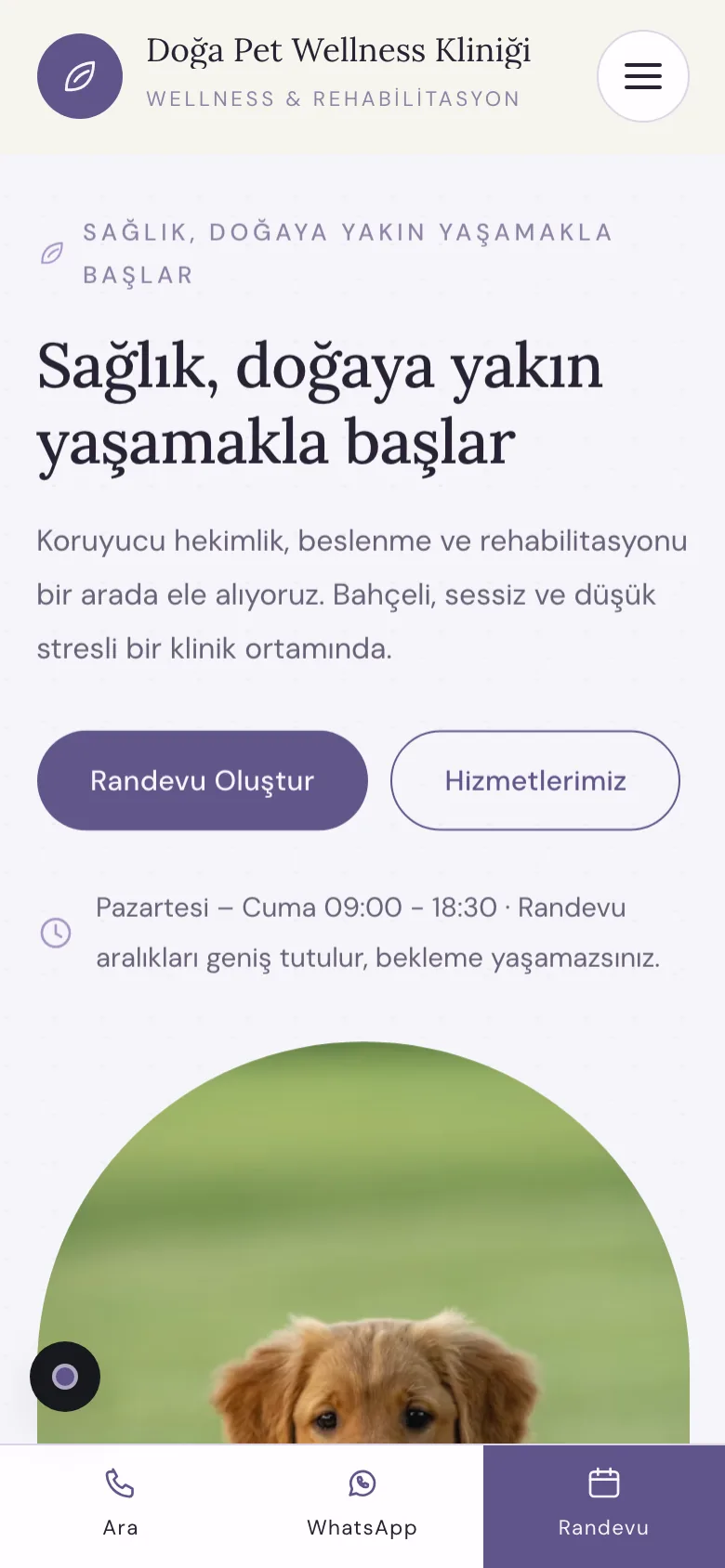 Veteriner 4 · Doğal Bakım sitesinin mobil görünümü