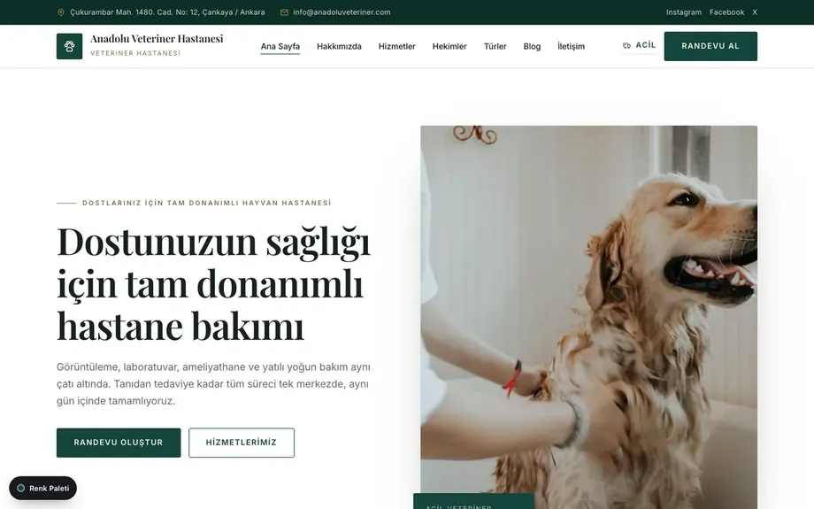 Veteriner 1 — Orman Yeşili · Krem · Altın