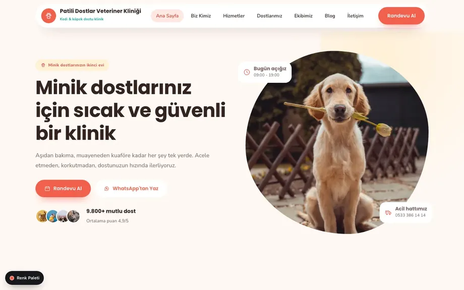 Veteriner 2 — Mercan · Turkuaz · Krem